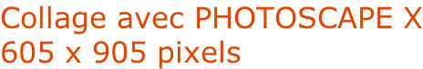 Collage avec PHOTOSCAPE X 605 x 905 pixels